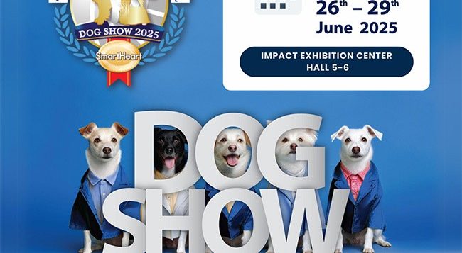 thailand-international-dog-show-2025_02-11-dog-l-2